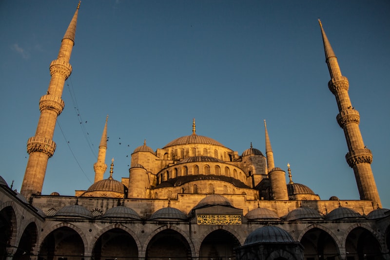 Gediz'de Çevre Koruma Projeleri Gediz'de Çevre Koruma Projeleri