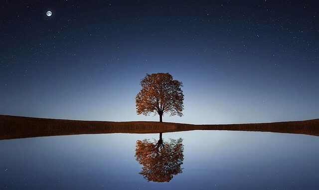 Gediz’de Yıldızlar Altında Gece Hayatı Gediz’de Yıldızlar Altında Gece Hayatı