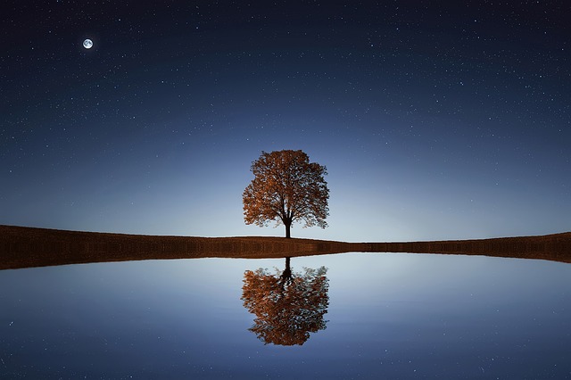 Gediz’de Yıldızlar Altında Gece Hayatı Gediz’de Yıldızlar Altında Gece Hayatı