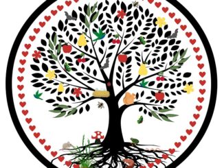 9. Gediz’de Çiftlik Hayatı: Organik Tarım ve Üretim